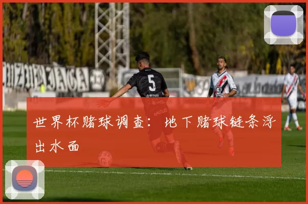 世界杯赌球调查:地下赌球链条浮出水面