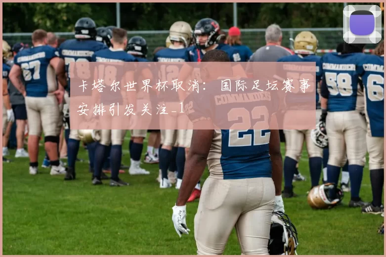 卡塔尔世界杯取消：国际足坛赛事安排引发关注_1