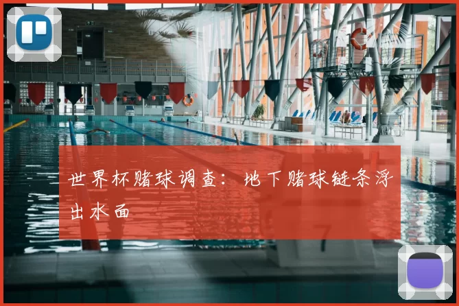 世界杯赌球调查：地下赌球链条浮出水面