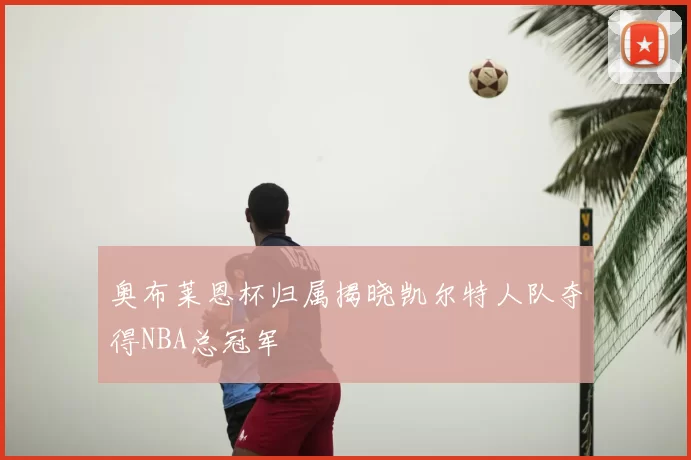 奥布莱恩杯归属揭晓凯尔特人队夺得NBA总冠军