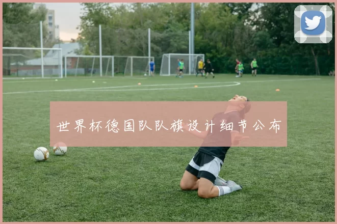 世界杯德国队队旗设计细节公布