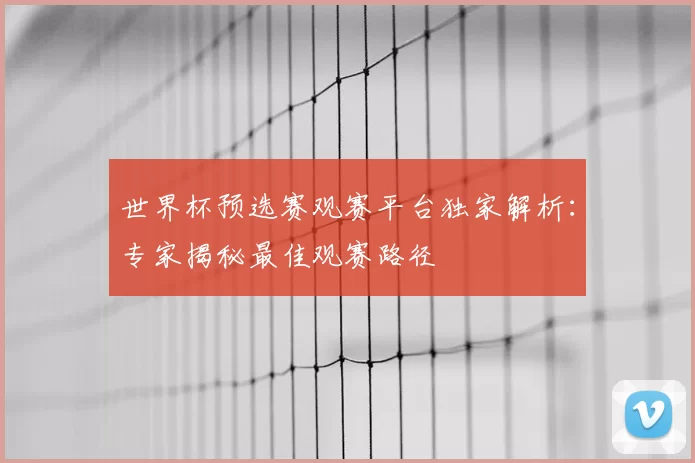 世界杯预选赛观赛平台独家解析:专家揭秘最佳观赛路径