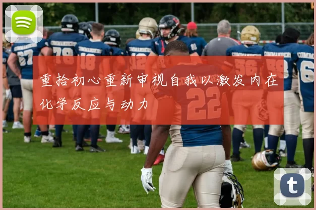 重拾初心重新审视自我以激发内在化学反应与动力