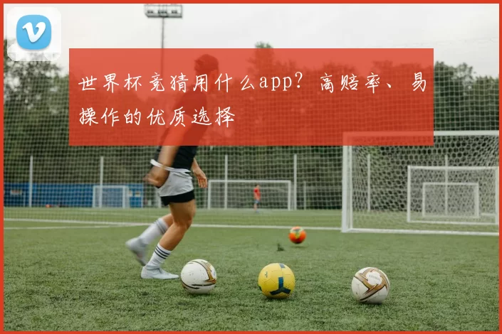 世界杯竞猜用什么app？高赔率、易操作的优质选择