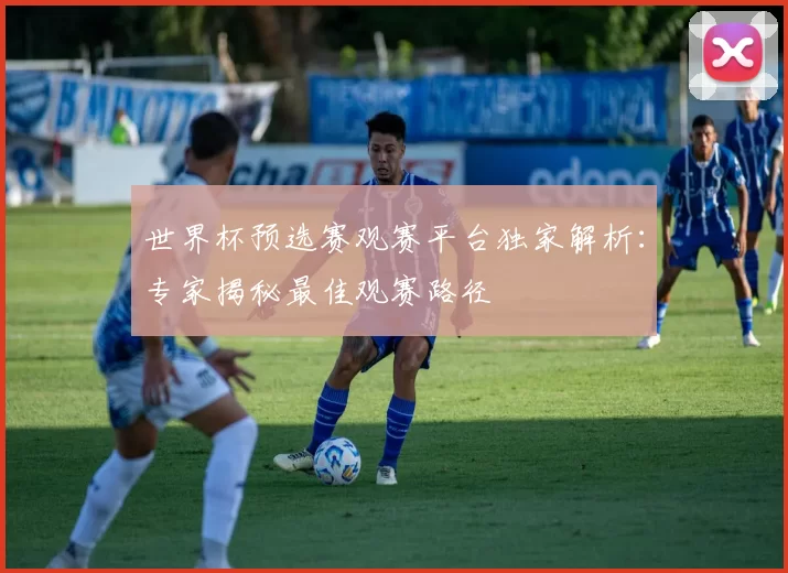 世界杯预选赛观赛平台独家解析：专家揭秘最佳观赛路径