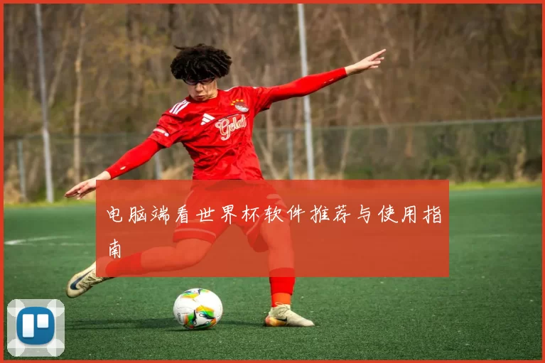 电脑端看世界杯软件推荐与使用指南