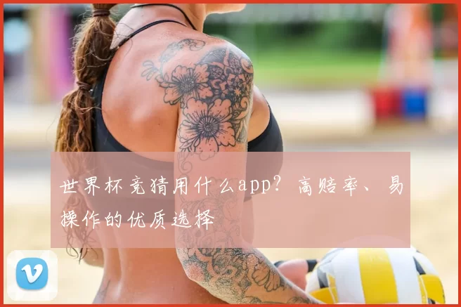 世界杯竞猜用什么app?高赔率、易操作的优质选择